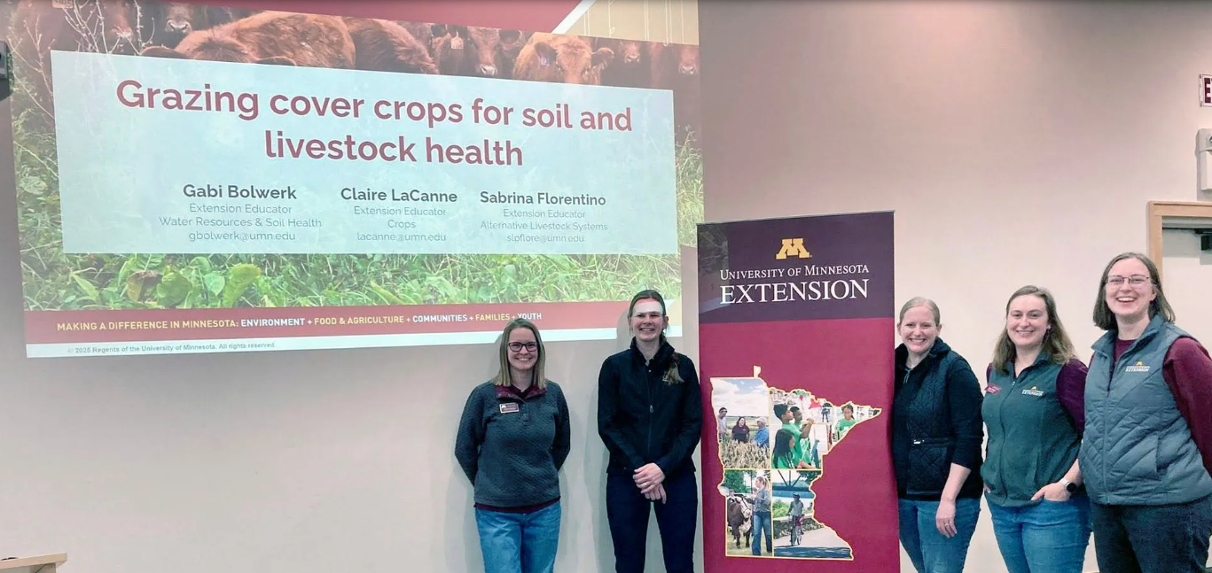 grazing-cover-crops.png