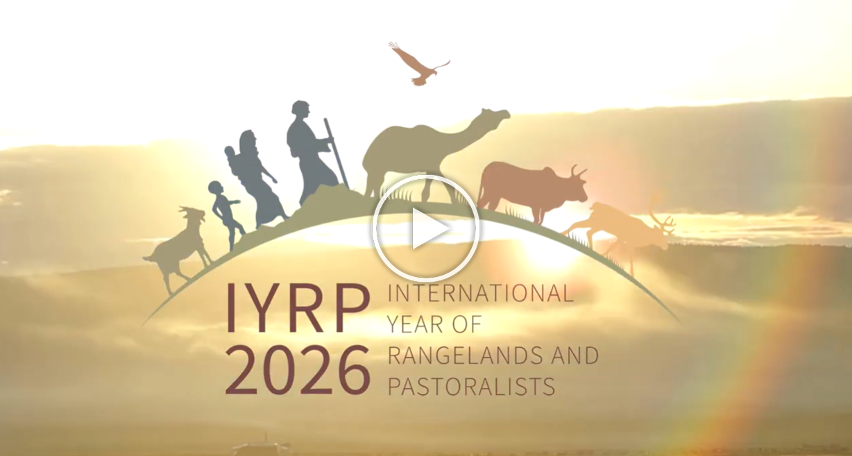 iyrp-2026.png