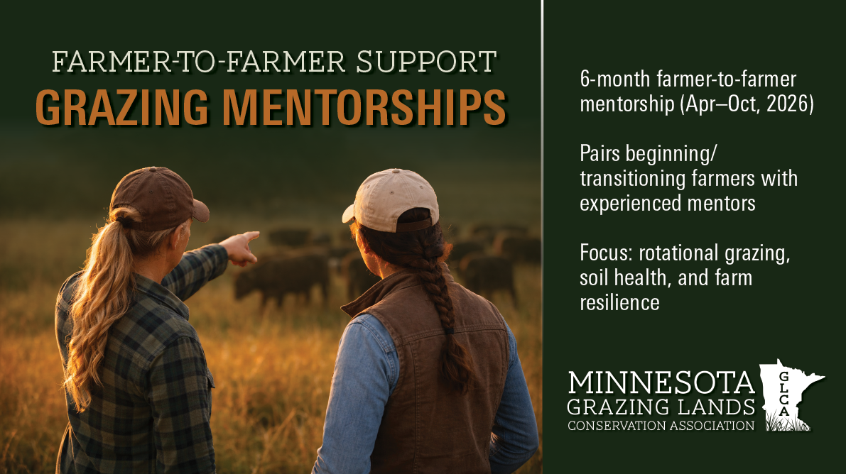 mentorship-program-graphics-a.png